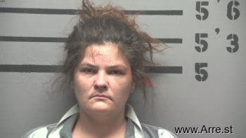 Larissa Renee Williams Mugshot