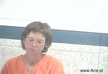 Laura Ann Johnson Mugshot