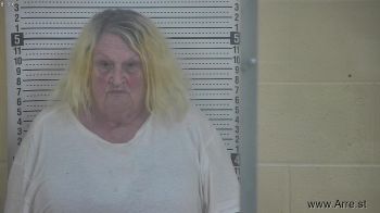 Laura  Mccain Mugshot