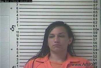 Lauren Michelle Collins Mugshot