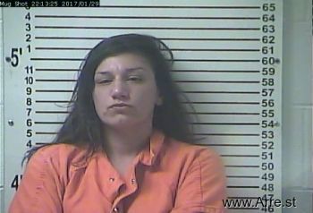 Lauren Michelle Collins Mugshot