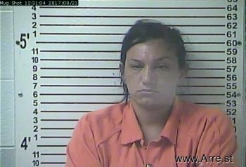 Lauren Michelle Collins Mugshot