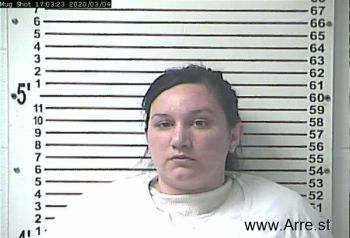 Lauren Michelle Collins Mugshot