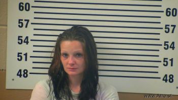 Lauren M Davis Mugshot