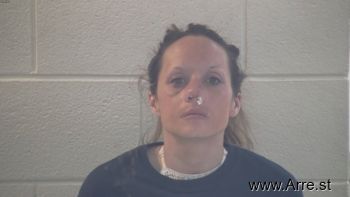 Lauren Ashley Wilson Mugshot