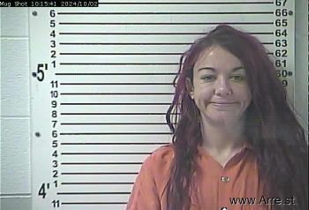 Lesley Marie Ray Mugshot