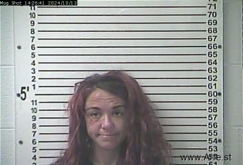 Lesley Marie Ray Mugshot