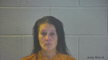 Leslie R Anderson Mugshot