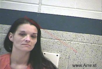 Leslie Ann Johnson Mugshot