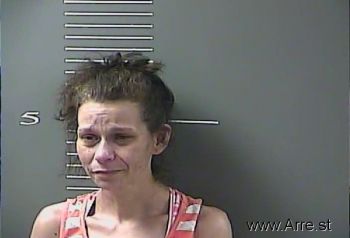 Leslie Ann Messer Mugshot