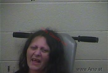 Linda  Mills Mugshot