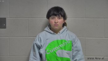 Linda Ann Webster Mugshot