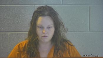 Lindsey Elise Cooper Mugshot