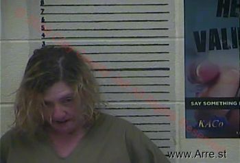 Lisa  Adkins Mugshot