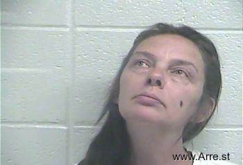 Lisa Mae Bailey Mugshot