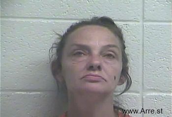 Lisa  Bailey Mugshot