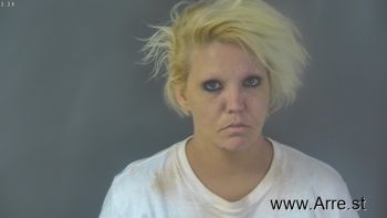 Lisa Grace Berryman Mugshot