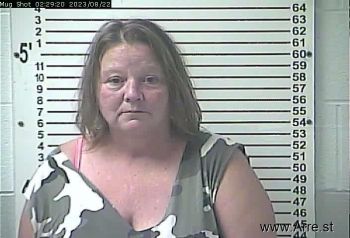 Lisa Jean Blankenship Mugshot