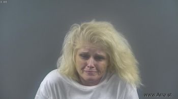 Lisa Renee Bryant Mugshot