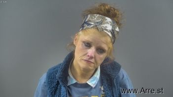 Lisa Renee Bryant Mugshot