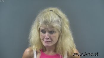 Lisa Renee Bryant Mugshot