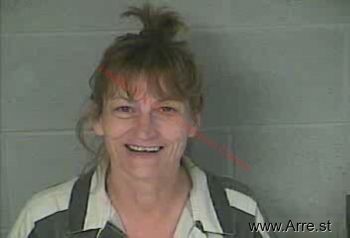 Lisa  Fields Mugshot