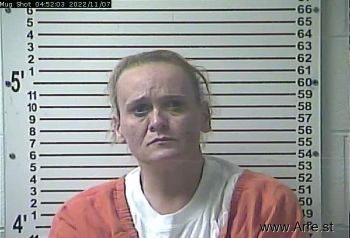 Lisa Gail Fields Mugshot