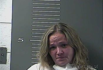 Lisa Ann Gibson Mugshot