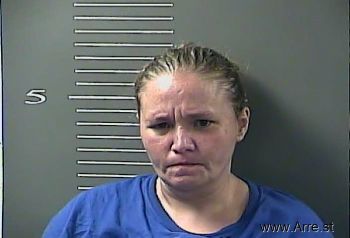 Lisa Ann Gibson Mugshot