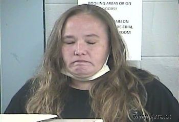 Lisa Ann Gibson Mugshot