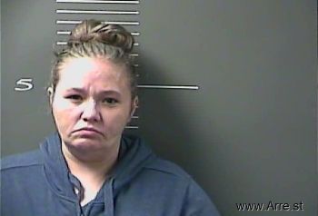 Lisa Ann Gibson Mugshot