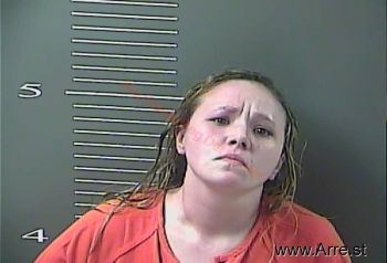 Lisa Ann Gibson Mugshot