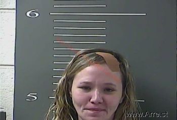 Lisa Ann Gibson Mugshot