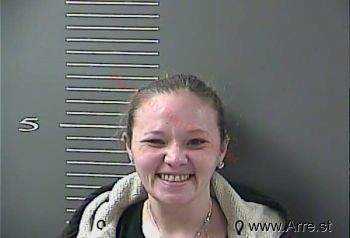 Lisa Ann Gibson Mugshot