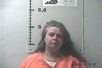 Lisa M Hankins Mugshot