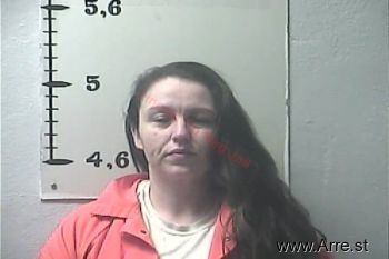 Lisa A Harris Mugshot