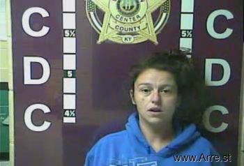 Lisa Ann Harris-brandenburg Mugshot