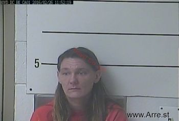 Lisa M Hodge Mugshot