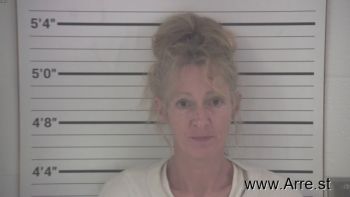 Lisa Lee Horrocks Mugshot