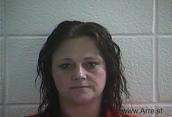 Lisa Gail Johnson Mugshot