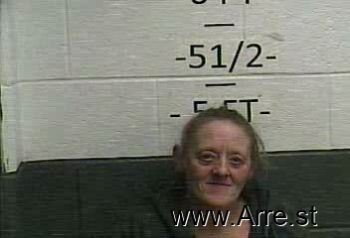 Lisa  Lawson Mugshot