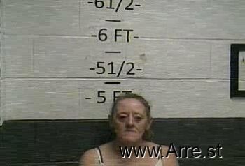 Lisa  Lawson Mugshot