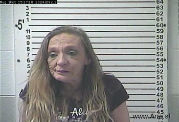 Lisa Ann Logsdon Mugshot