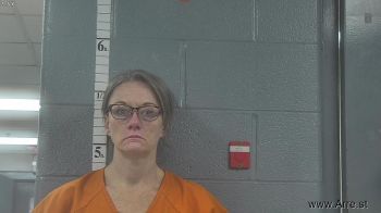 Lisa  Mattingly Mugshot