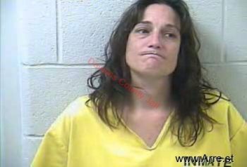 Lisa Marie Miller Mugshot