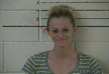 Lisa Marie Miller Mugshot