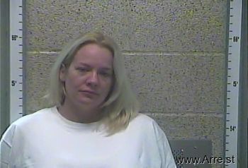 Lisa M Miller Mugshot