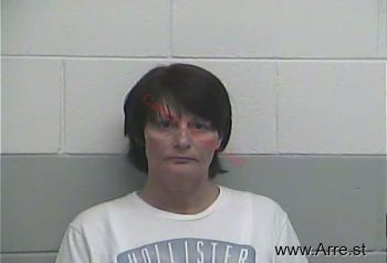 Lisa G Mitchell Mugshot