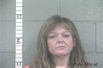 Lisa Louise Mullins Mugshot