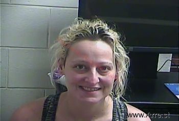 Lisa M Roberts Mugshot